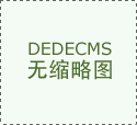 <b>公司2024年实现营收46.17亿</b>