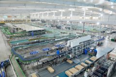 快审批速度、要素保障、项目扶植问题处理等办